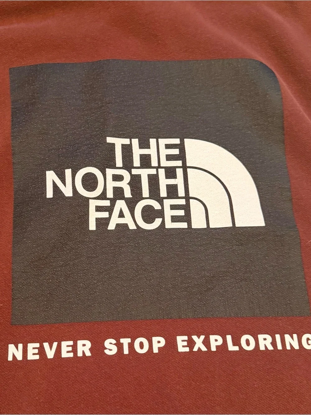 The North Face Men's Deep Rich Brown Pullover Hoodie with Chest Logo